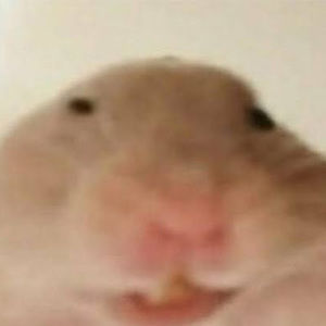 Meet your Posher, Nickolas